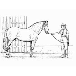 Caballo #1664