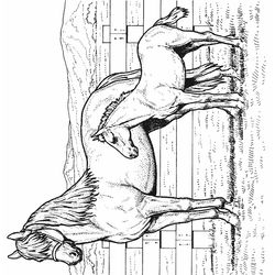 Caballo #1669