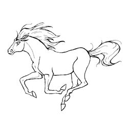 Caballo #1673