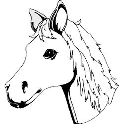 Caballo #1677