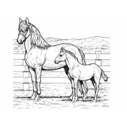 Caballo #1678