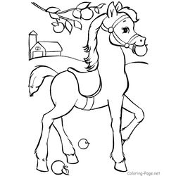 Caballo #1680