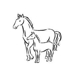 Caballo #1681