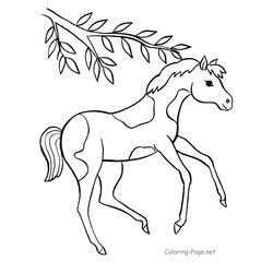 Caballo #1683
