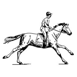 Caballo #1686
