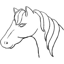 Caballo #1687