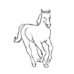 Caballo #1689