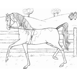 Caballo #1693