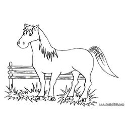 Caballo #1695