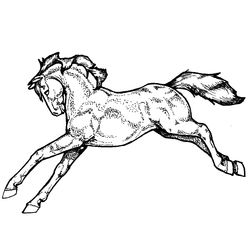 Caballo #1699