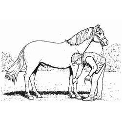 Caballo #1700