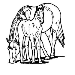 Caballo #1704