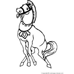 Caballo #1705