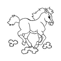 Caballo #1707