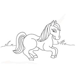 Caballo #1708