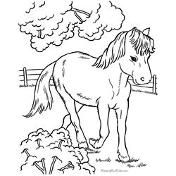 Caballo #1710