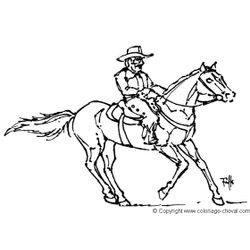 Caballo #1711