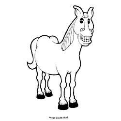 Caballo #1720