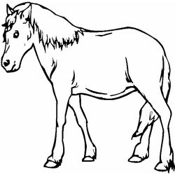 Caballo #1721