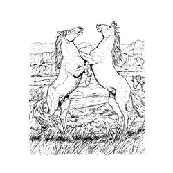 Caballo #1722