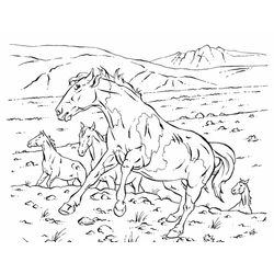 Caballo #1723