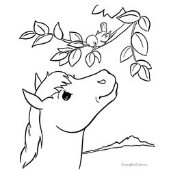 Caballo #1724