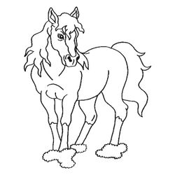 Caballo #1725