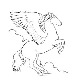 Caballo #1735