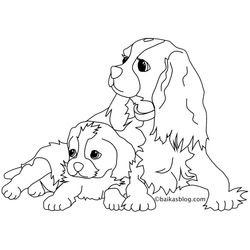Cachorro #1842