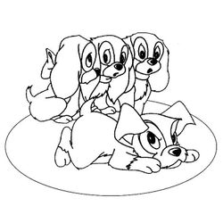 Cachorro #1849