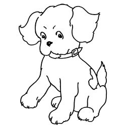 Cachorro #1850