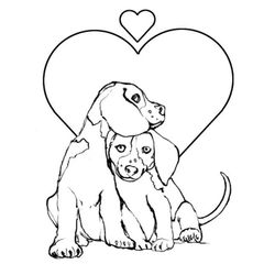 Cachorro #1852