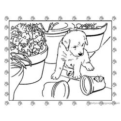 Cachorro #1854