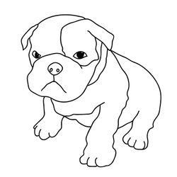 Cachorro #1857