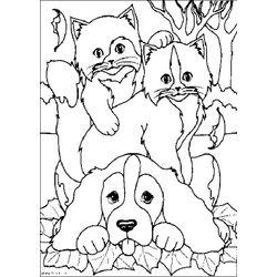 Cachorro #1858