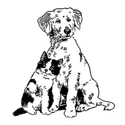Cachorro #1859