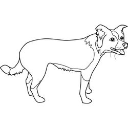 Cachorro #1861