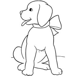 Cachorro #1867