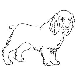 Cachorro #1871