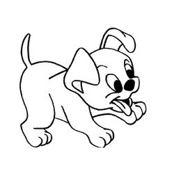 Cachorro #1882