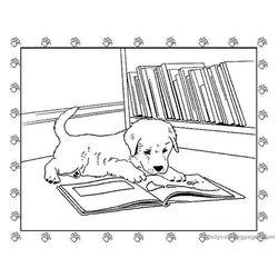 Cachorro #1883