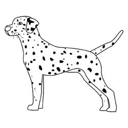 Cachorro #1887