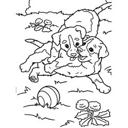Cachorro #1909