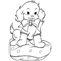 Cachorro #1910