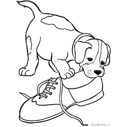 Cachorro #1919