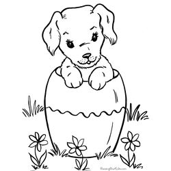 Cachorro #1920