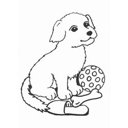 Cachorro #1921