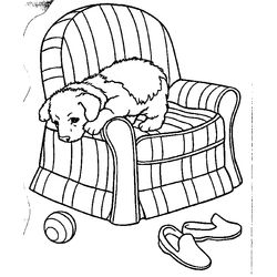 Cachorro #1923