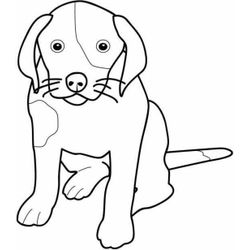 Cachorro #1926