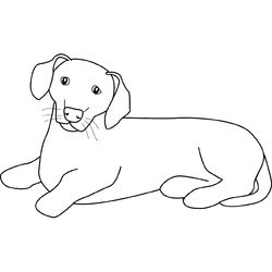 Cachorro #1928